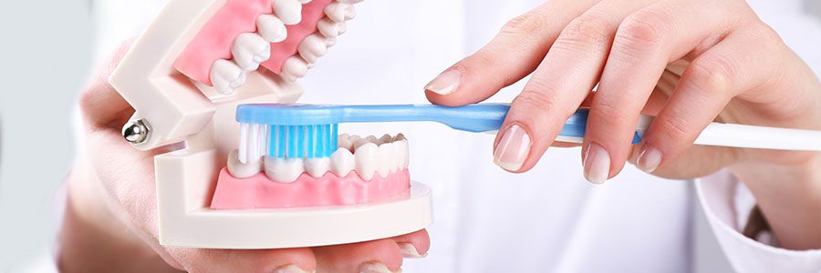 Zahnmedizinische Informationen rund um Zähne und Mundgesundheit
